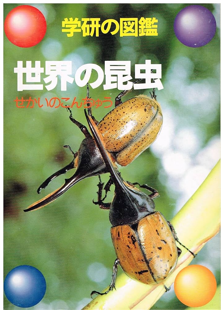 世界の昆虫 (学研の図鑑) | 山崎 柄根 |本 | 通販 | Amazon